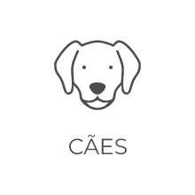 Cães