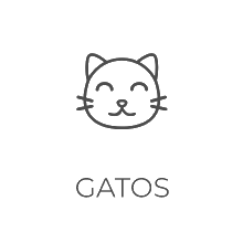 Gatos