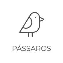 Pássaros