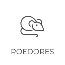 Roedores